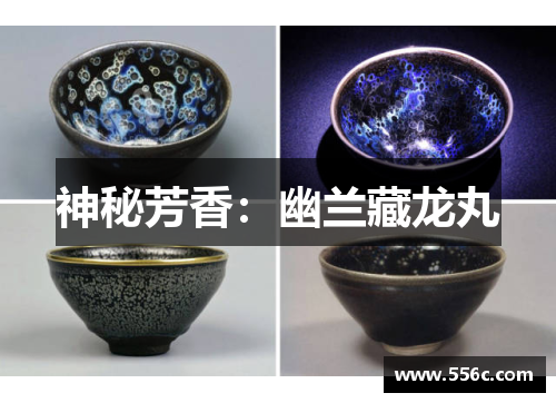 神秘芳香：幽兰藏龙丸